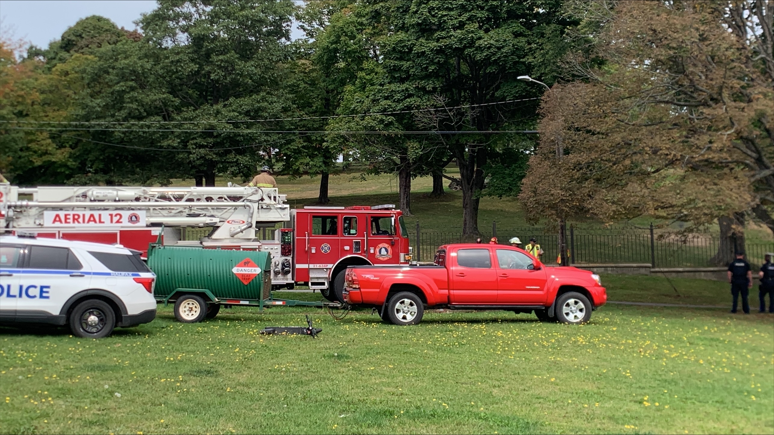 Bear sighting at Dartmouth park has police asking public to avoid area