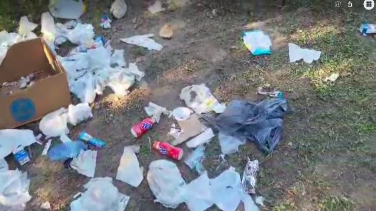 Thousands of pounds of dirty diapers left behind by family in B.C. woods