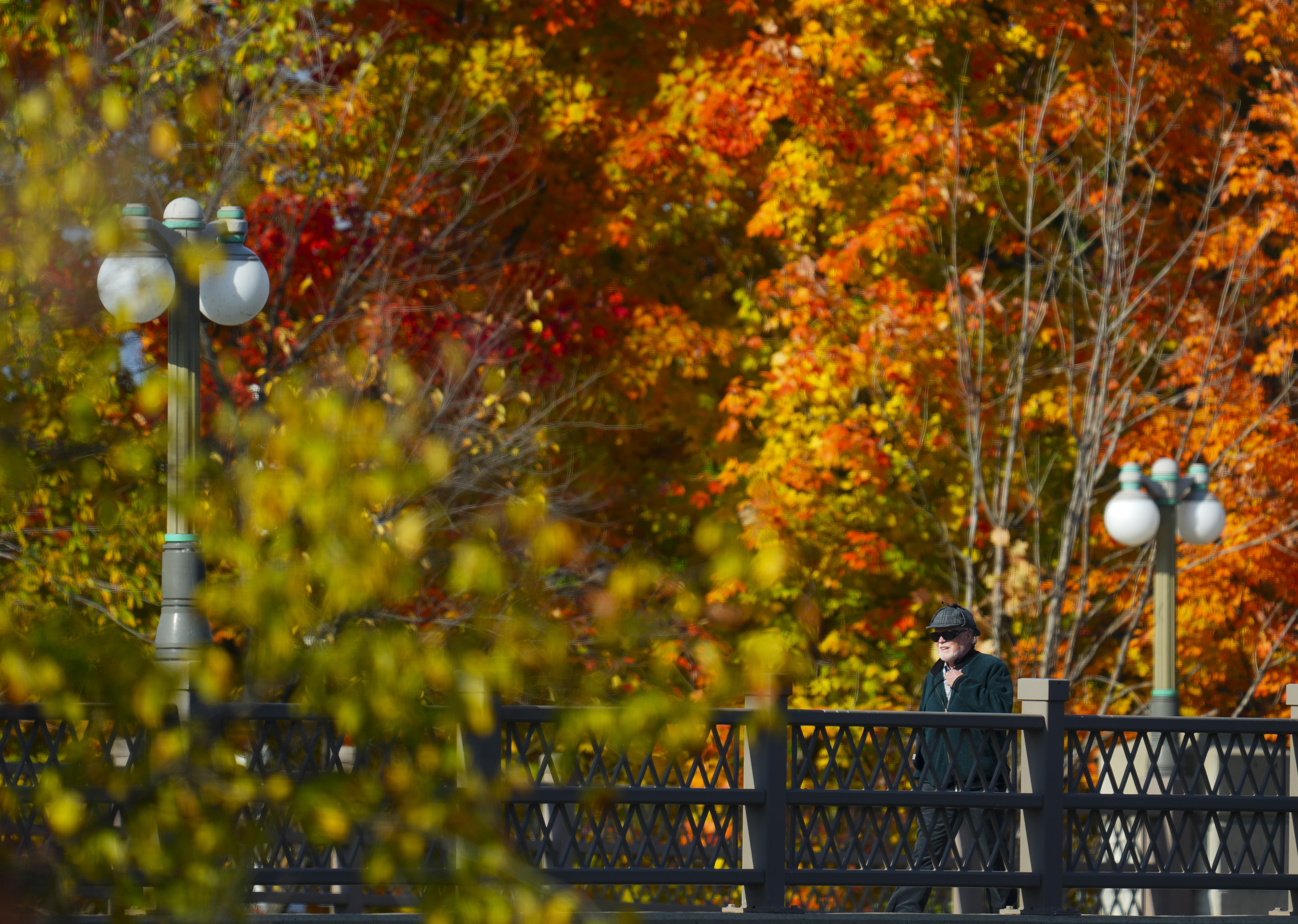 As warm weather lingers, what that means for fall – and leaf colours