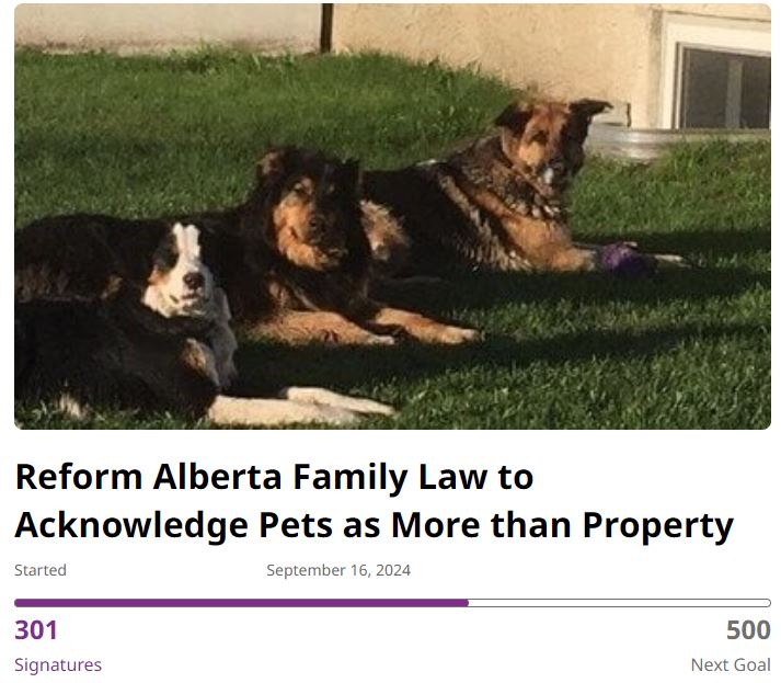 Kathy Rolfe is calling on Alberta to make changes to the way custody or “possession” of pets is decided in Alberta courts.