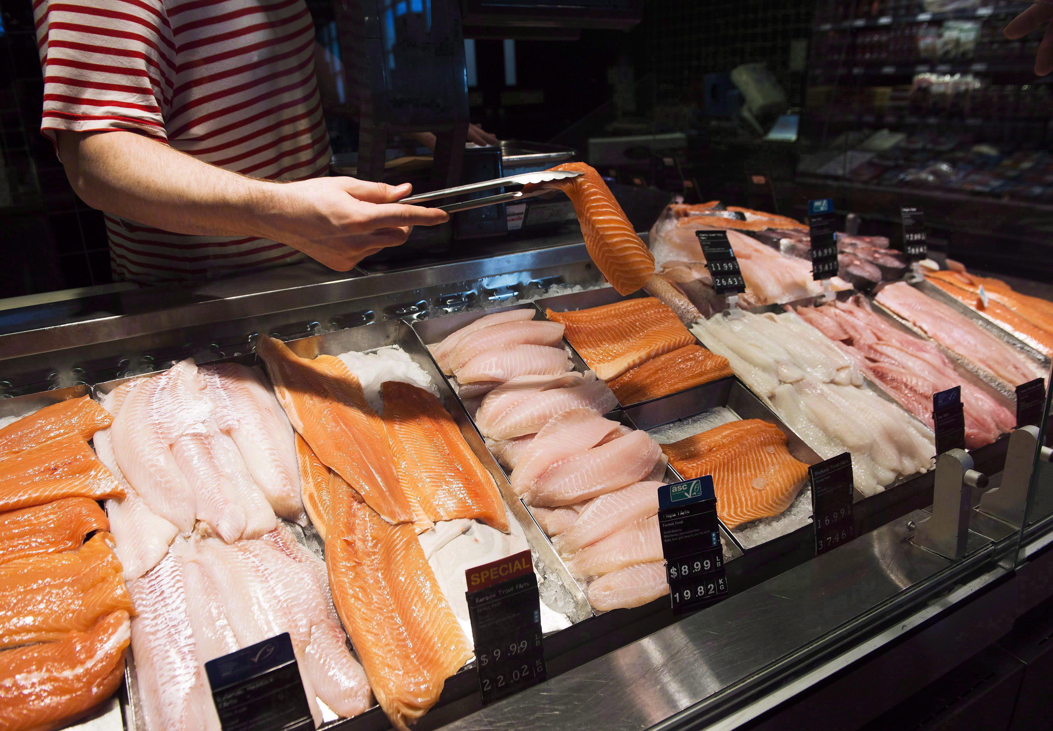 Something’s fishy: 1 in 5 seafood products are mislabelled, study finds