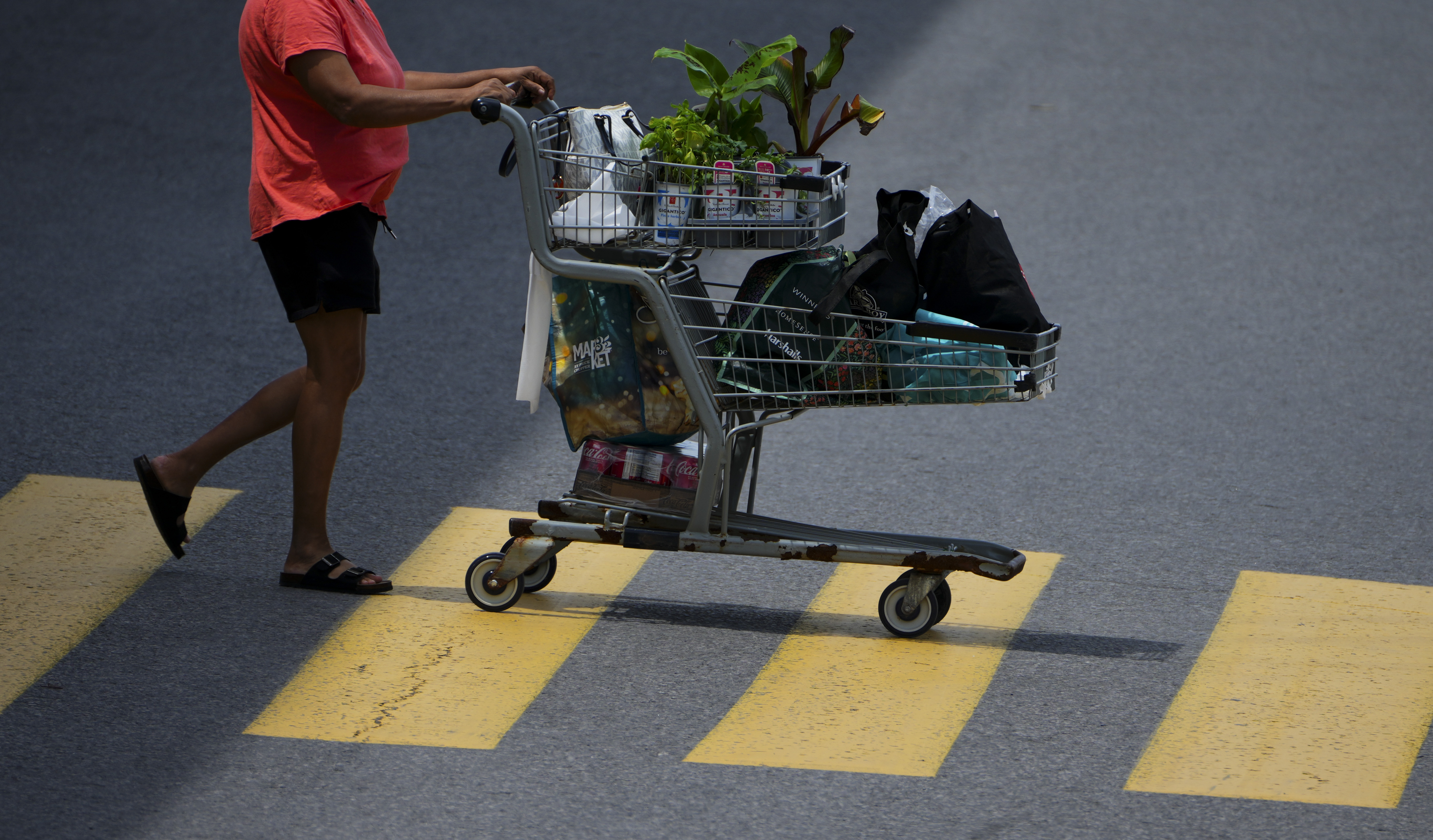 Банката на Канада е предназначена да получи нов поглед върху