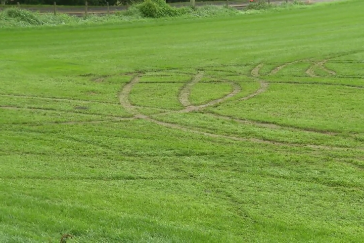 ‘Low-lives’: Langley sod farmer furious after vandals do $50K in damage