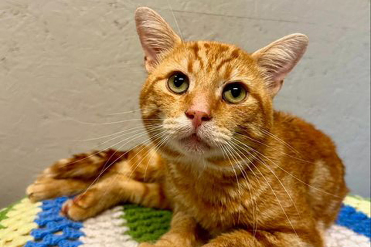 ПРЕДУПРЕЖДЕНИЕ Тази история съдържа графично съдържание което някои може да