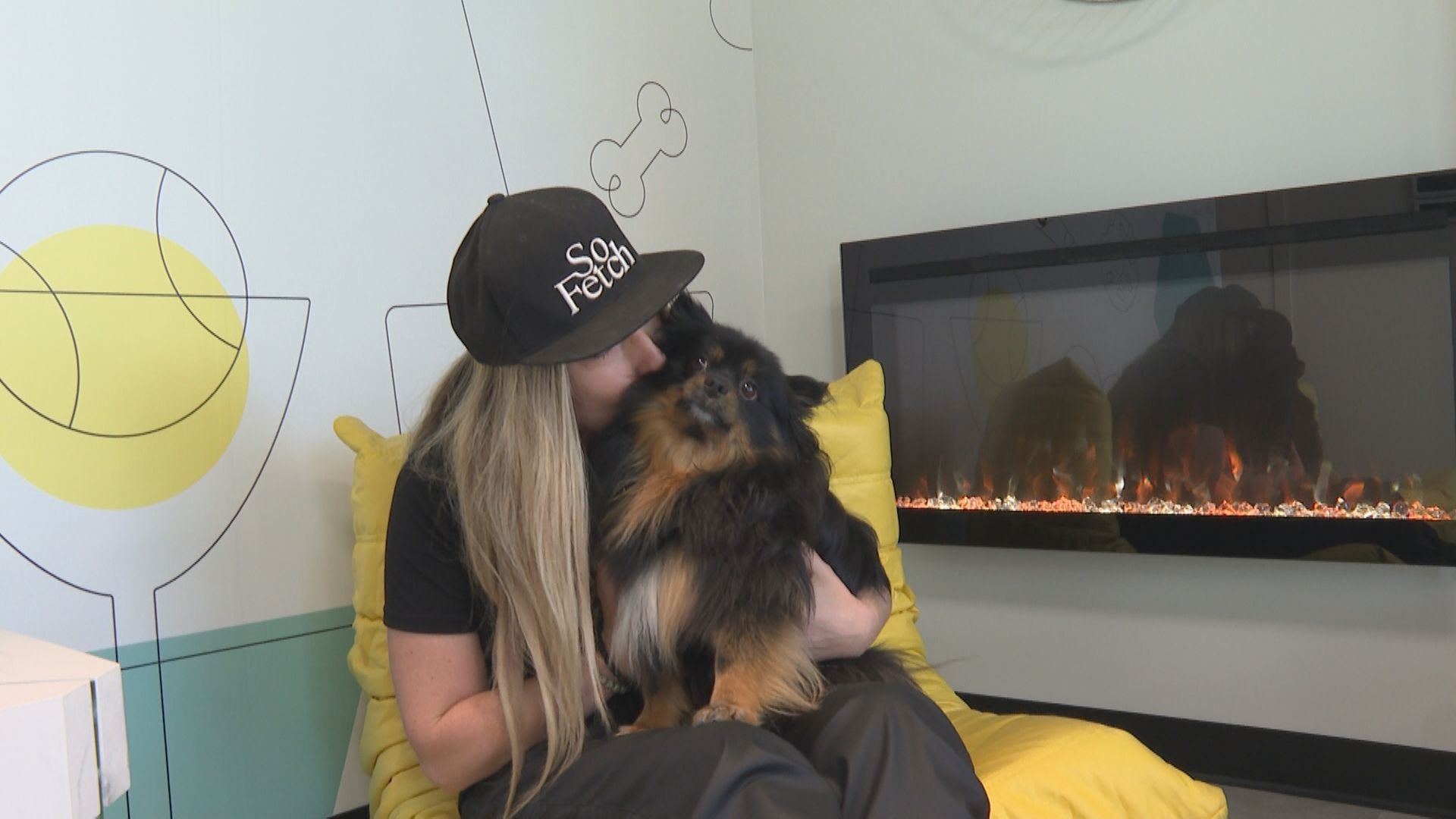 First-of-its-kind Canine Social Club opens in Kelowna, BC