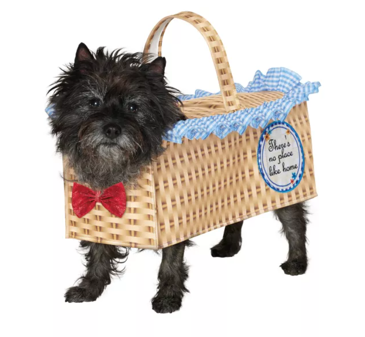 toto wizard of oz costume