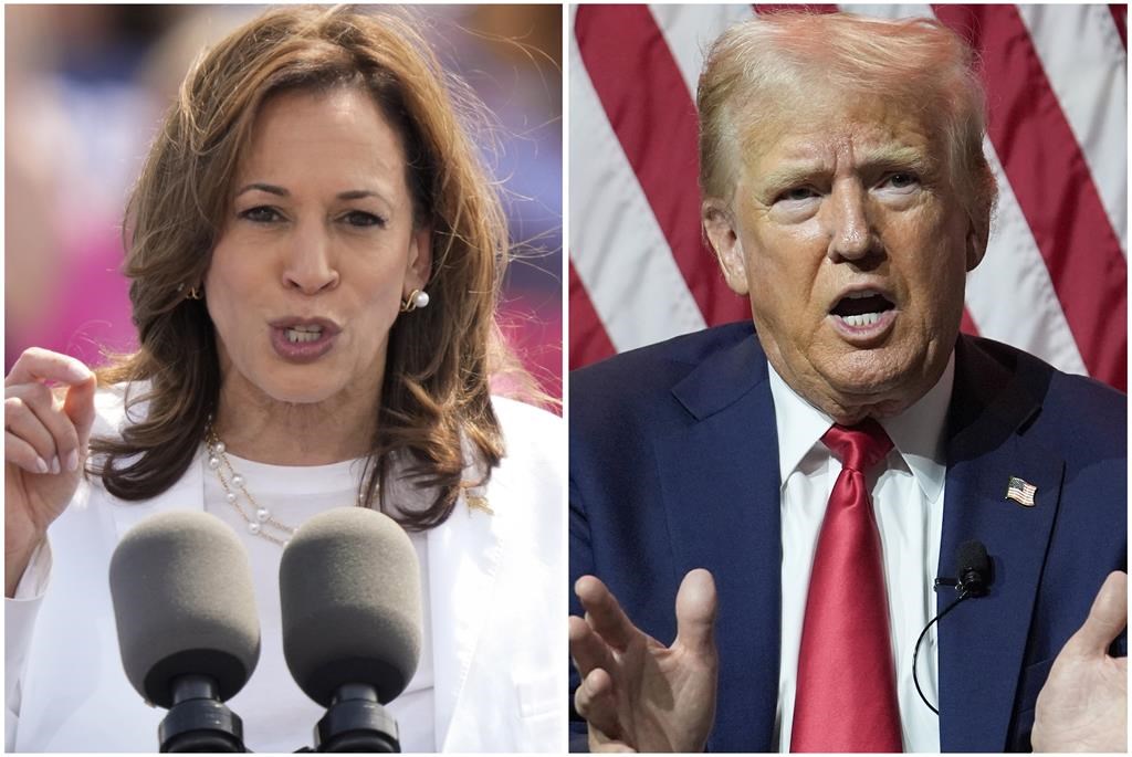 U.S. election: How would Harris, Trump immigration plans impact Canada?