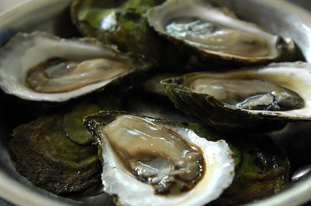 FILE - The Canadian Food Inspection Agency says the disease, detected in oyster samples from Merigomish, N.S., doesn't pose a risk to human health or food safety but can cause increased oyster mortality and decreased growth rates.