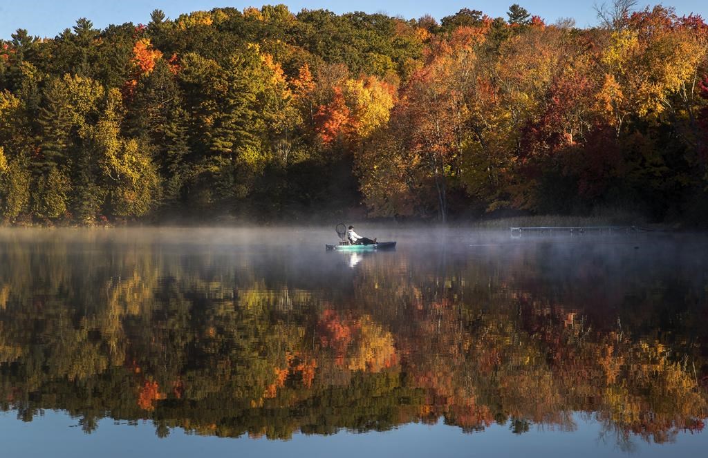 Duller fall colours in Ontario after warmer than normal temperatures