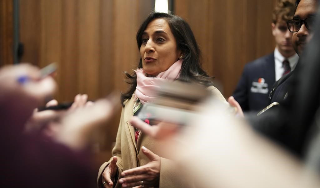 image of 하원 교착 상태가 정부 재정에 위험을 초래한다며 아난드 경고