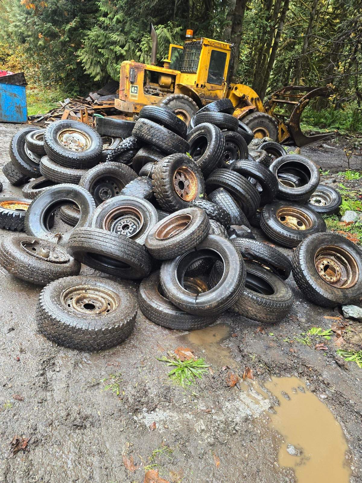 Some of the tires collected from the forested area near Hope.