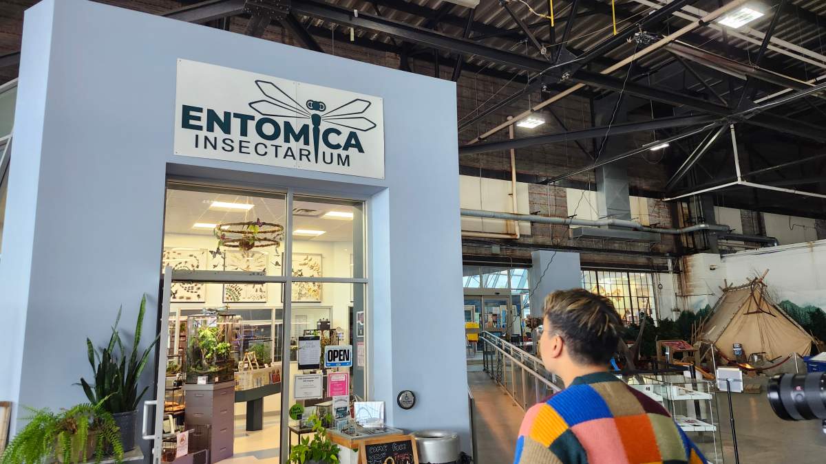 Local Escapes: Spotlighting Sault Ste. Marie - image