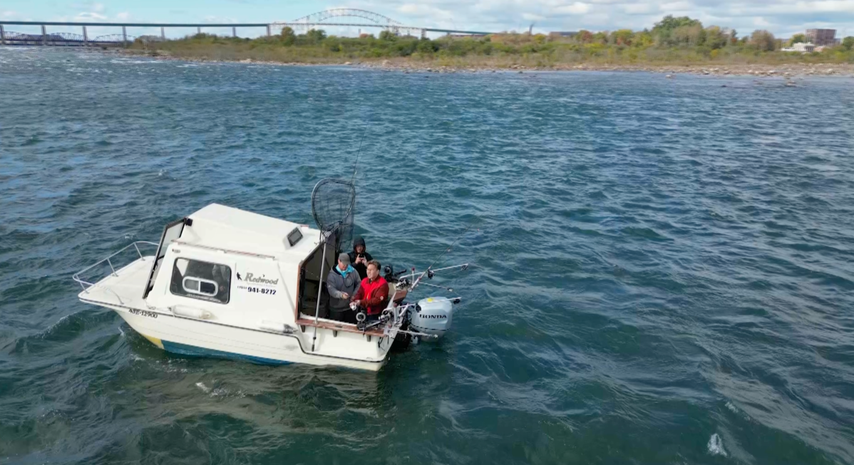 Local Escapes: Spotlighting Sault Ste. Marie - image