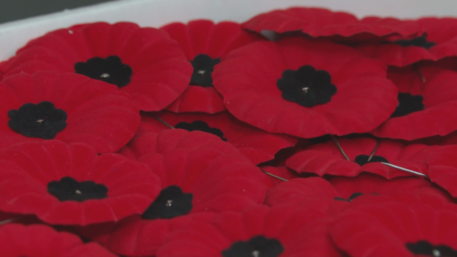 Poppy campaigns kick off in Calgary