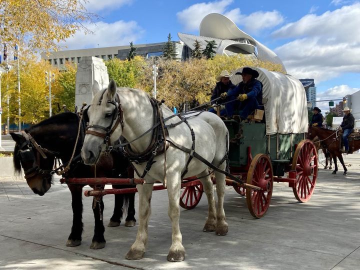 The Canadian Finals Rodeo is back in Edmonton this week and the festivities kicked off Wednesday with a cattle drive downtown on Wednesday.