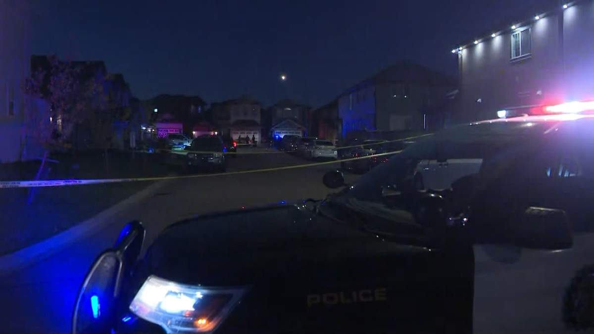 Police tape was blocking off part of Saddlelake Green Northeast in Calgary early Tuesday morning as police investigated a reported shooting.