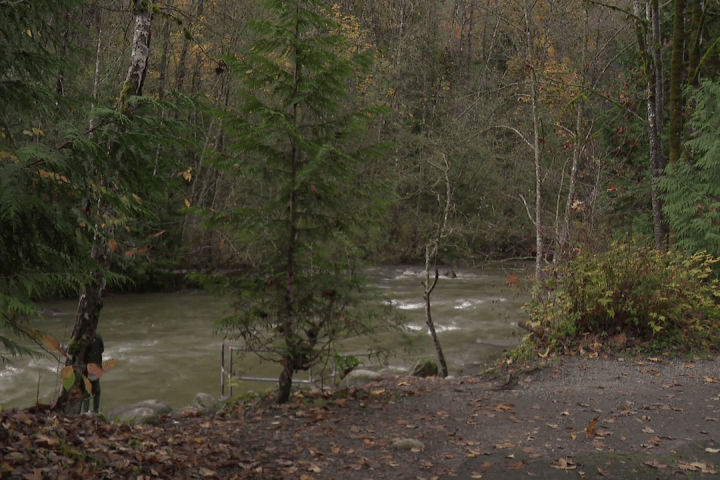 Search crews called to Coquitlam River banks as 59-year-old missing