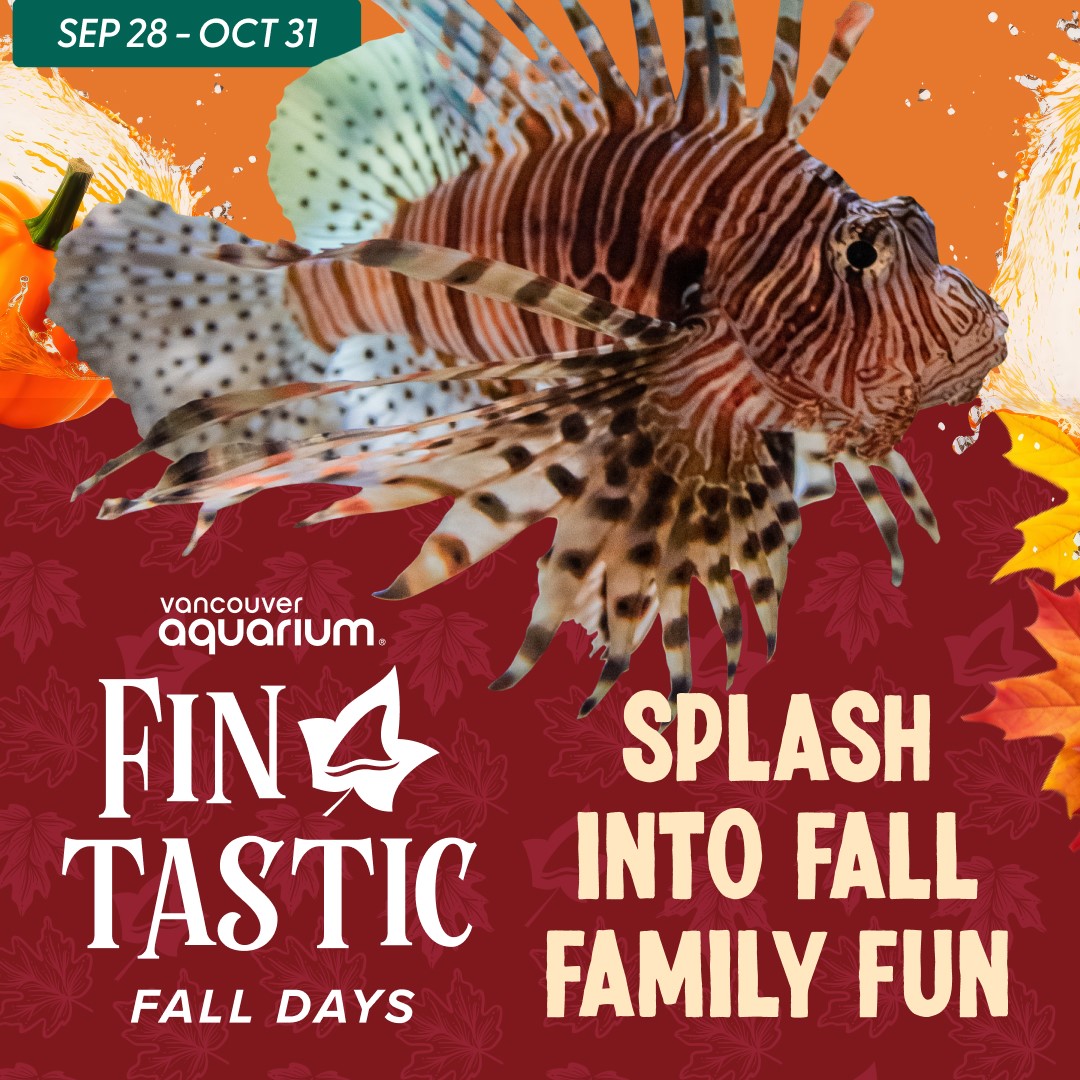 Vancouver Aquarium: Fin-tastic Fall Days 2024 - image