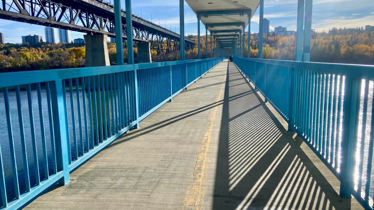 The Dudley B. Menzies LRT Bridge over the North Saskatchewan River in Edmonton, Alta. on Saturday, October 12, 2024.