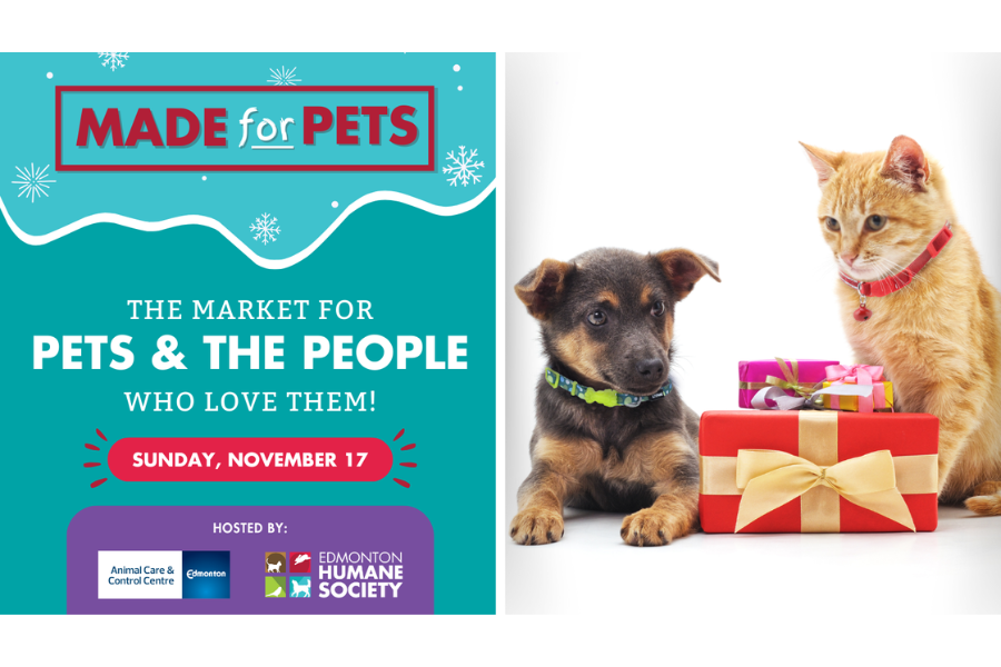 Global Edmonton supports – MADE for PETS: Winter Market - image