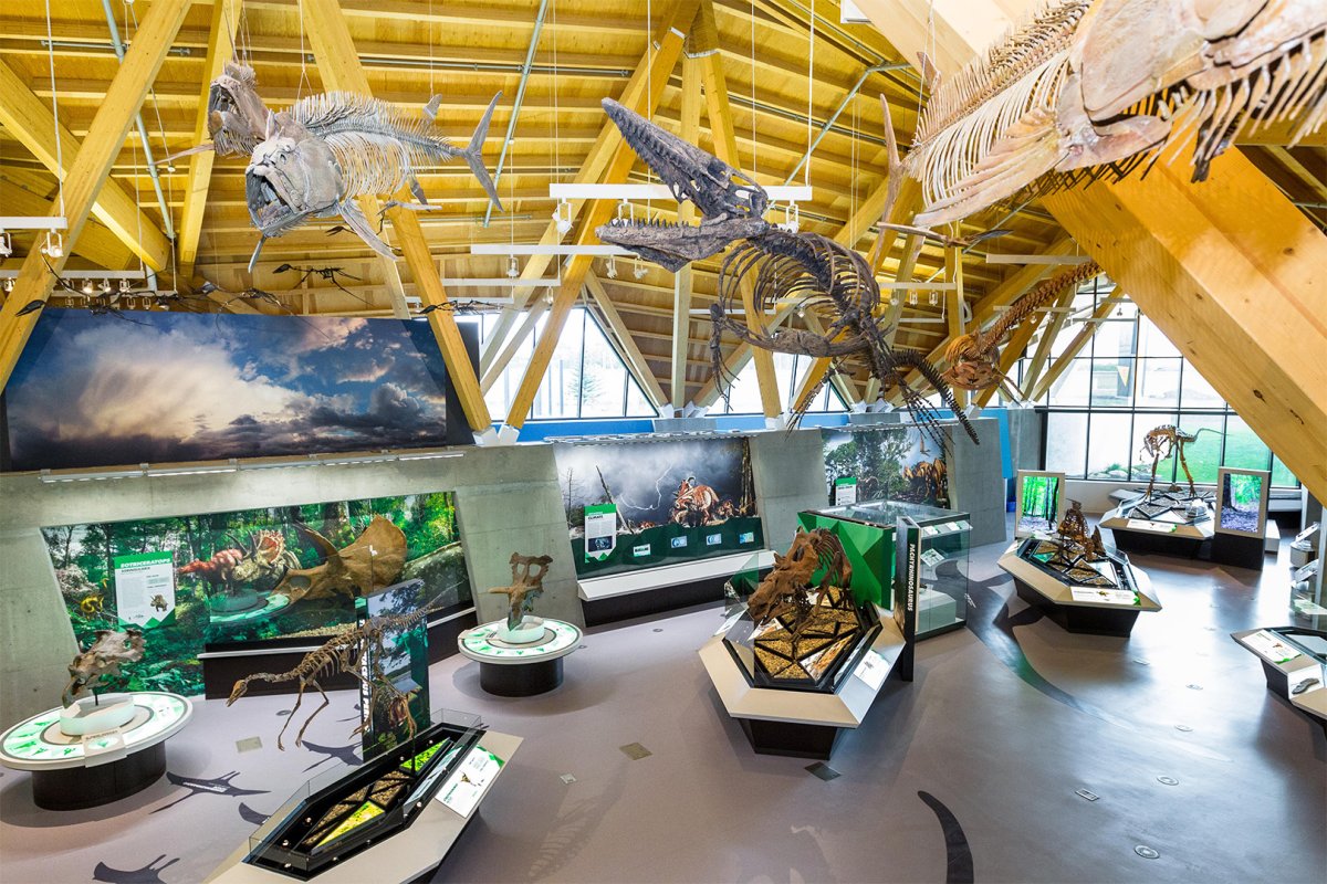 Philip J. Currie Dinosaur Museum in Wembley, Alta.