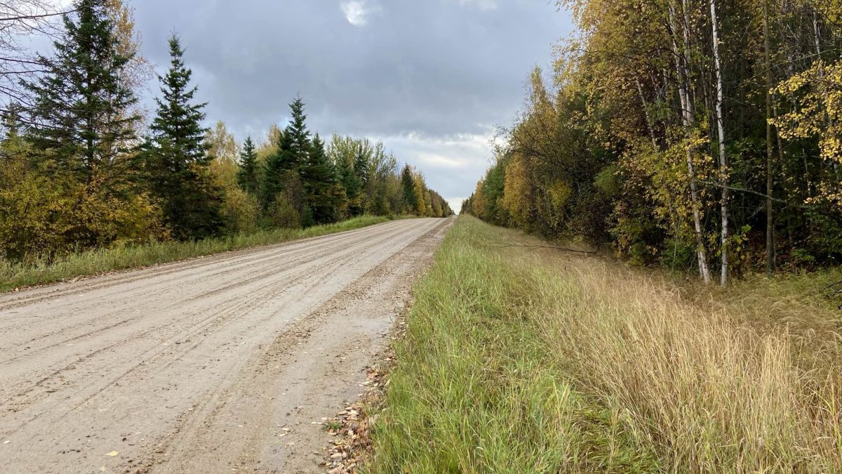 An October 2024 photo of Range Road 254 and Township Road 634 north of Edmonton.