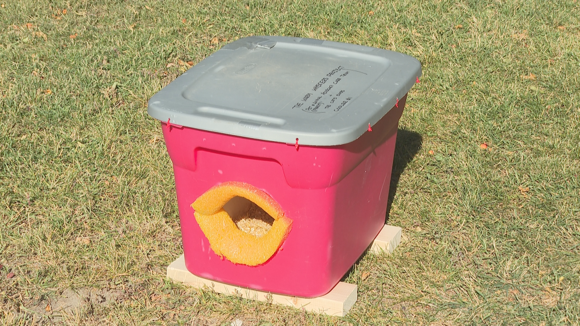 A new initiative in Lethbridge is seeing makeshift cabins designed for stray cats so they can stay warm and safe this winter.