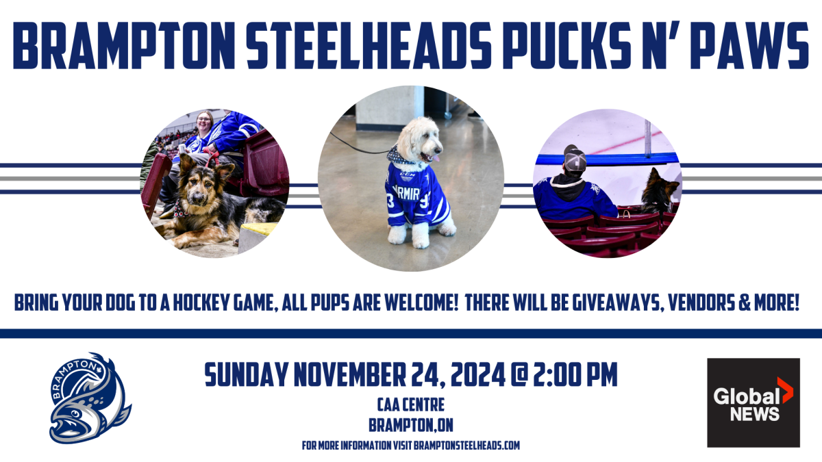 Brampton Steelheads Pucks N’ Paws 2024 - image