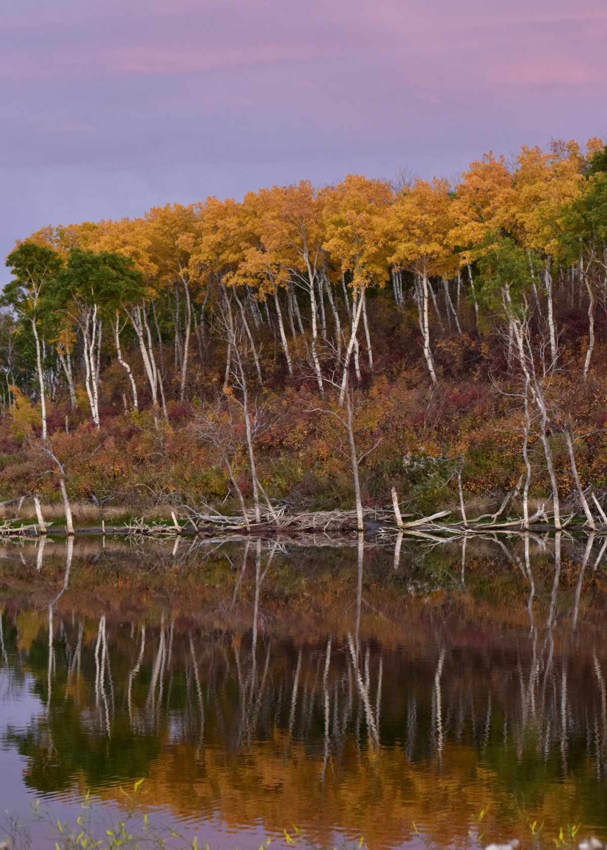 The Your Saskatchewan photo of the day for October 2 was taken by Tammy Anderson near Cudworth.