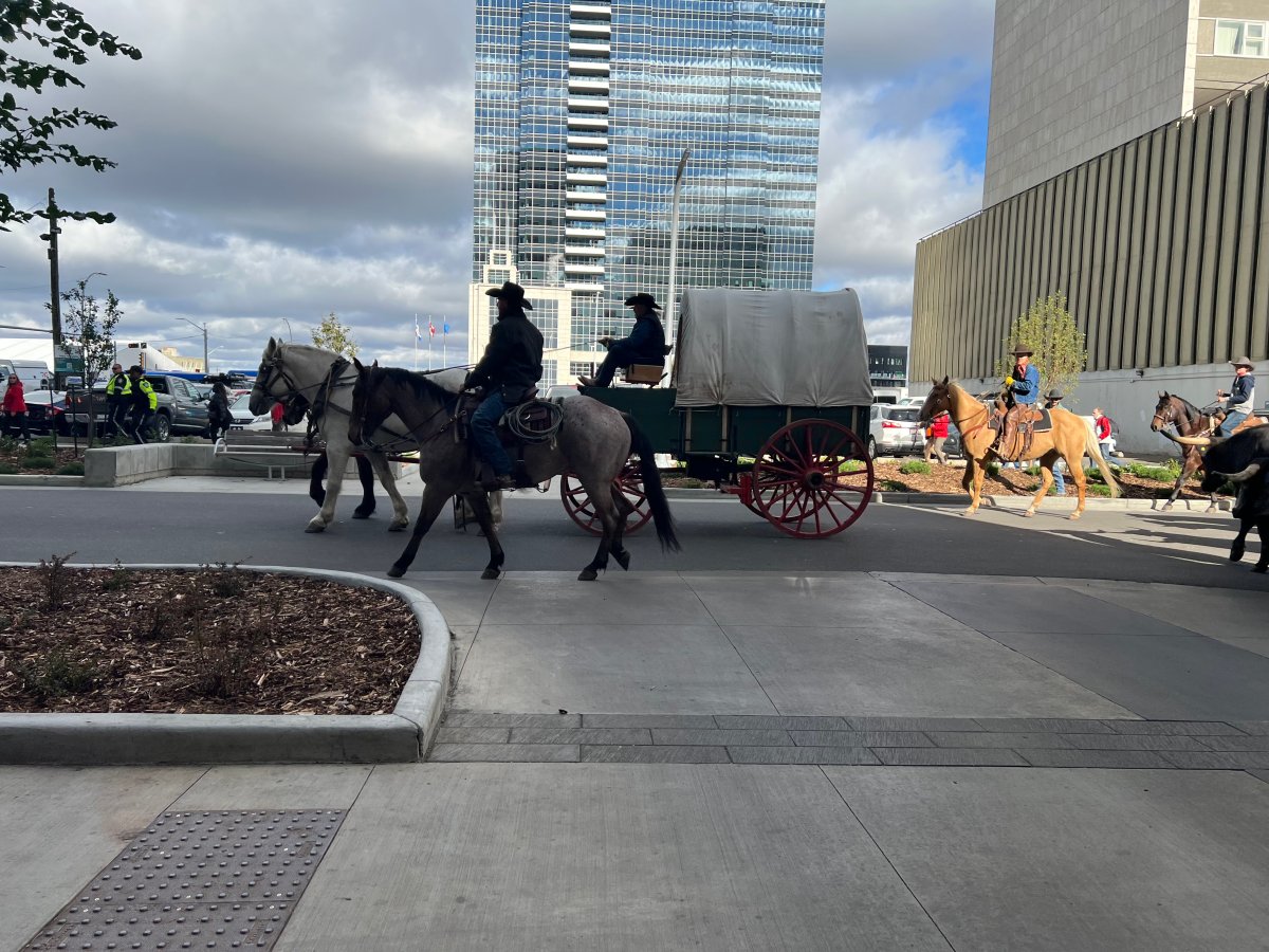 The Canadian Finals Rodeo is back in Edmonton this week and the festivities kicked off Wednesday with a cattle drive downtown on Wednesday.