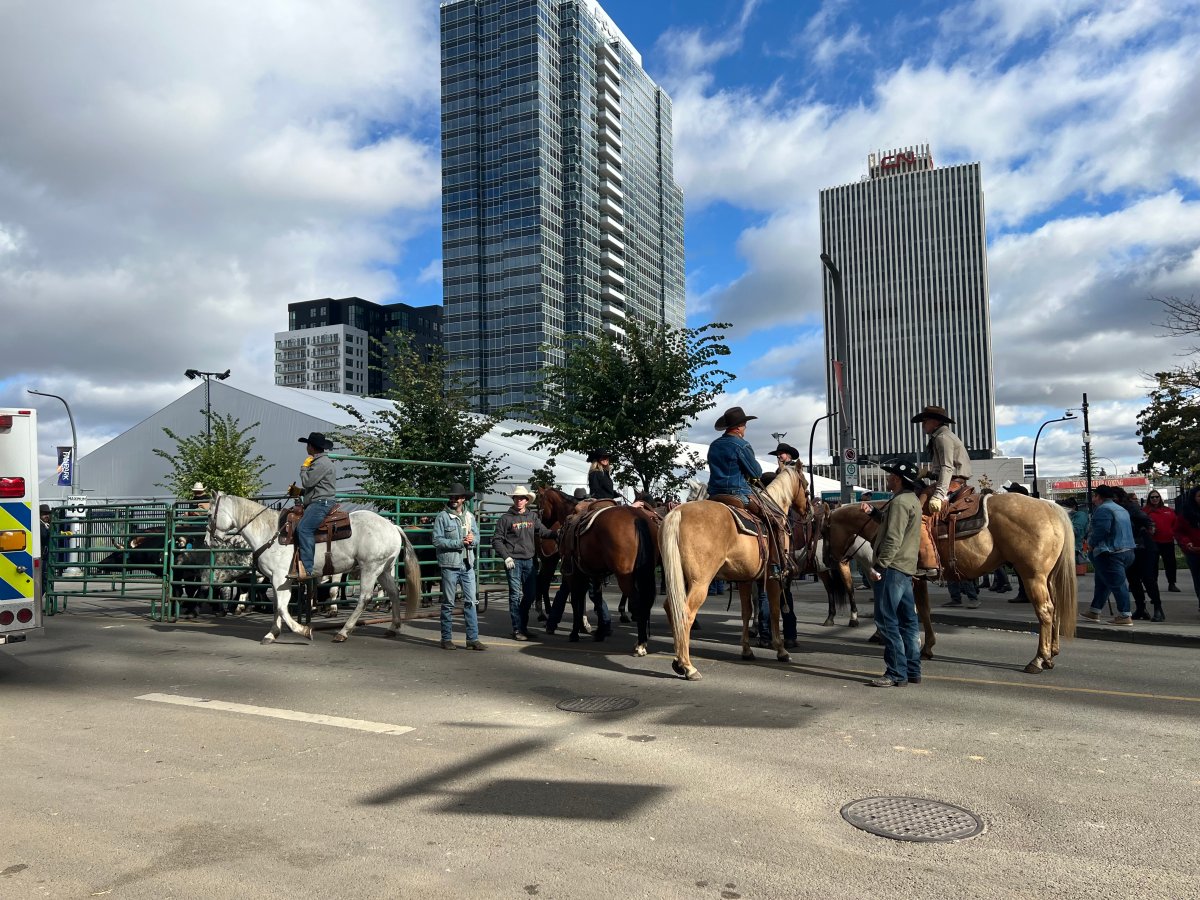 The Canadian Finals Rodeo is back in Edmonton this week and the festivities kicked off Wednesday with a cattle drive downtown on Wednesday.