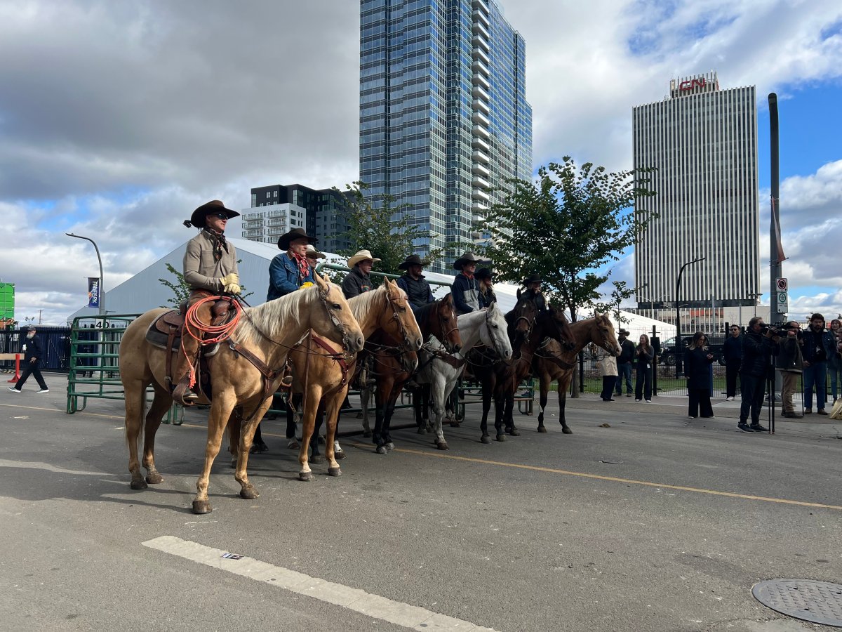 The Canadian Finals Rodeo is back in Edmonton this week and the festivities kicked off Wednesday with a cattle drive downtown on Wednesday.