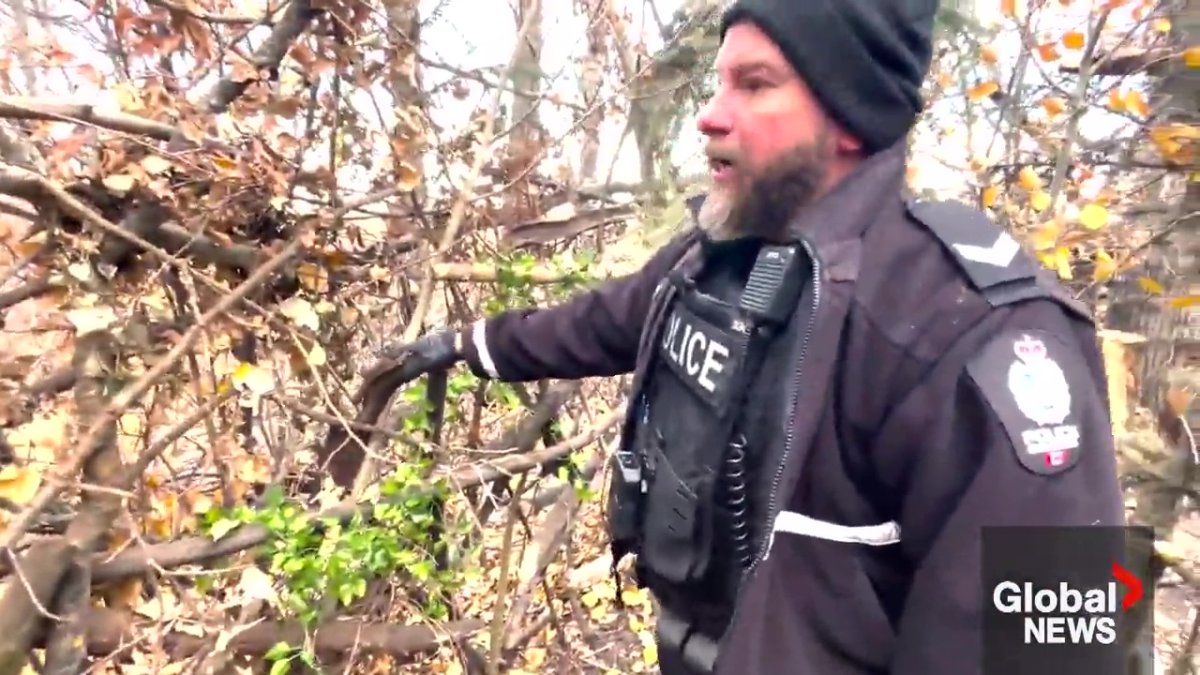 Edmonton Police Service Const. Brett Earley pointing out the detail that was put into building the fence disguising the encampment in southeast Edmonton.