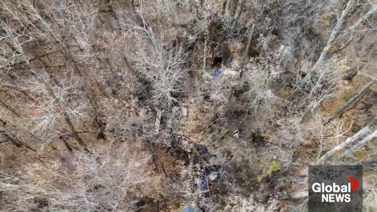 An aerial drone view showing how well-disguised the encampment in southeast Edmonton was.