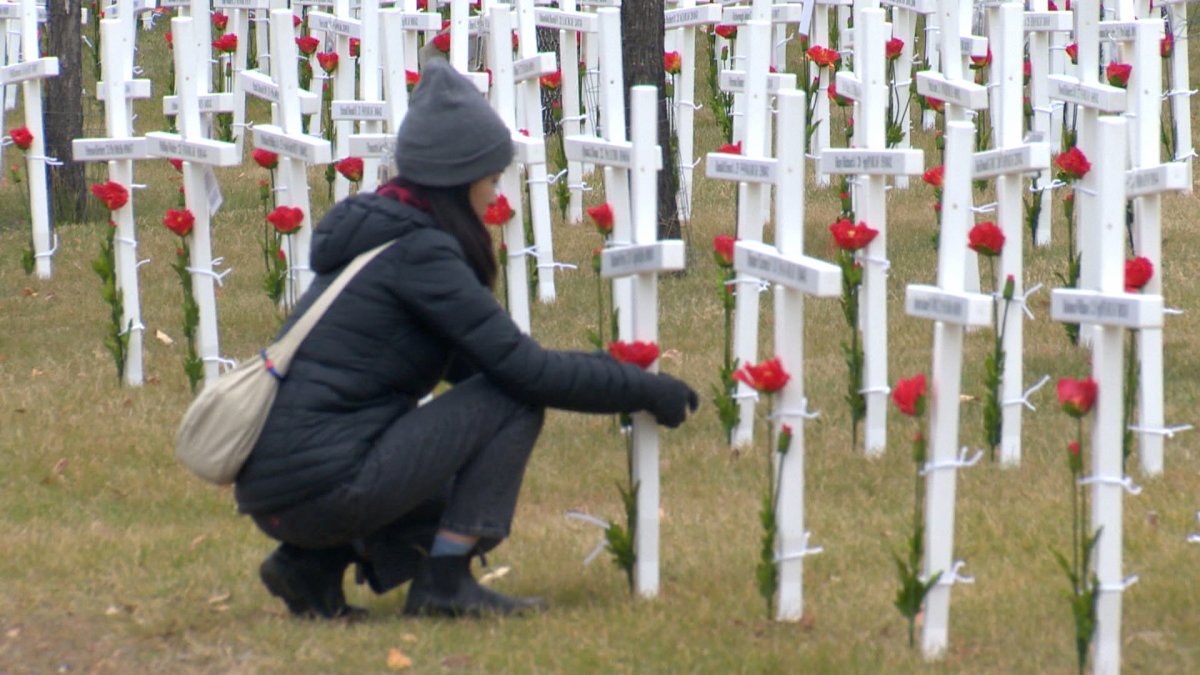 The Calgary businessman and philanthropist, Murray McCann, who helped organized the first Field of Crosses says he's pleased that so many families have strolled through the Field of Crosses to pay their respects to the fallen.