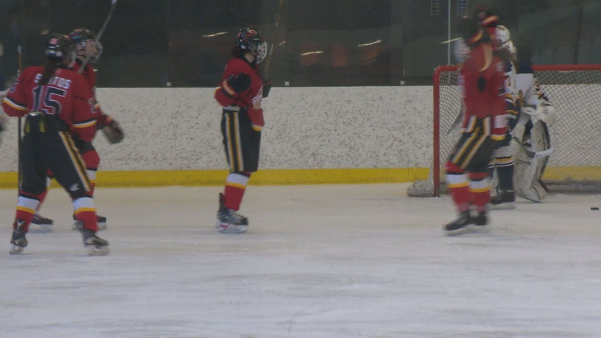 Female hockey players celebrate a goal