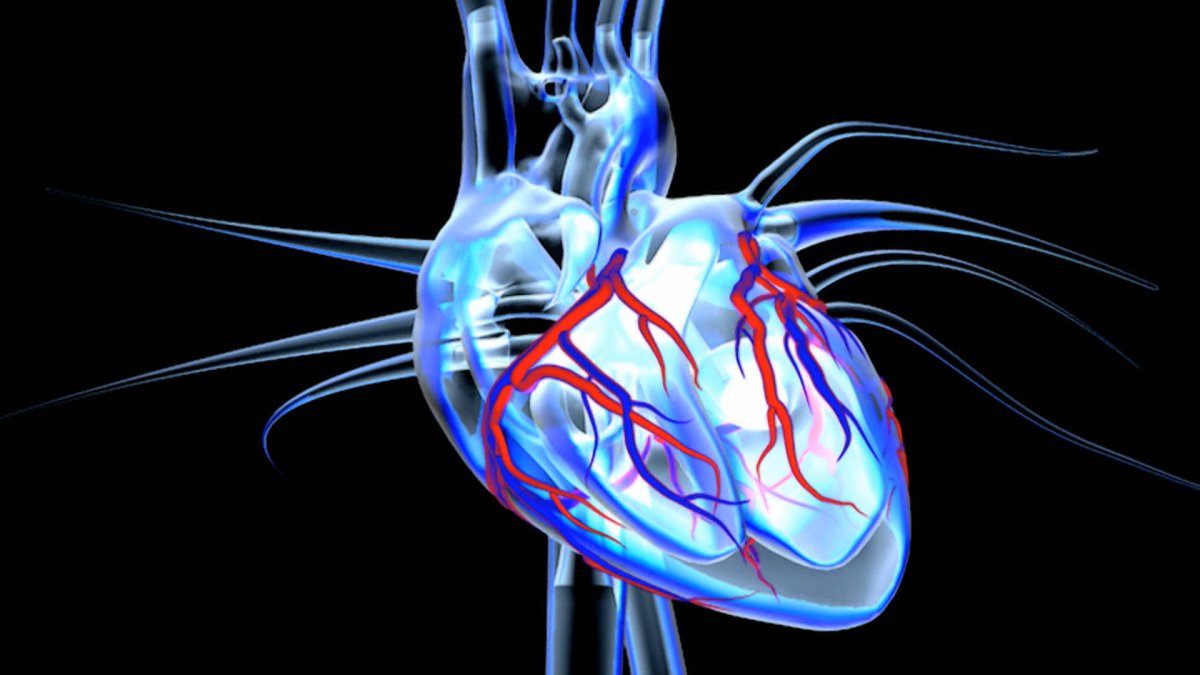 A cardiac catherization lab can provide doctors with important details about the heart muscle, heart valves and blood vessels and can be used to diagnose conditions such as clogged arteries or irregular heartbeats.