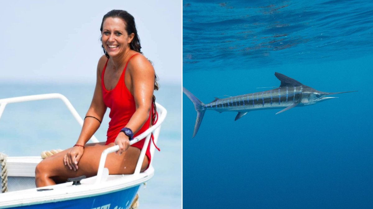 A split image. On the left is Giulia Manfrini on a boat. On the right is a swordfish.