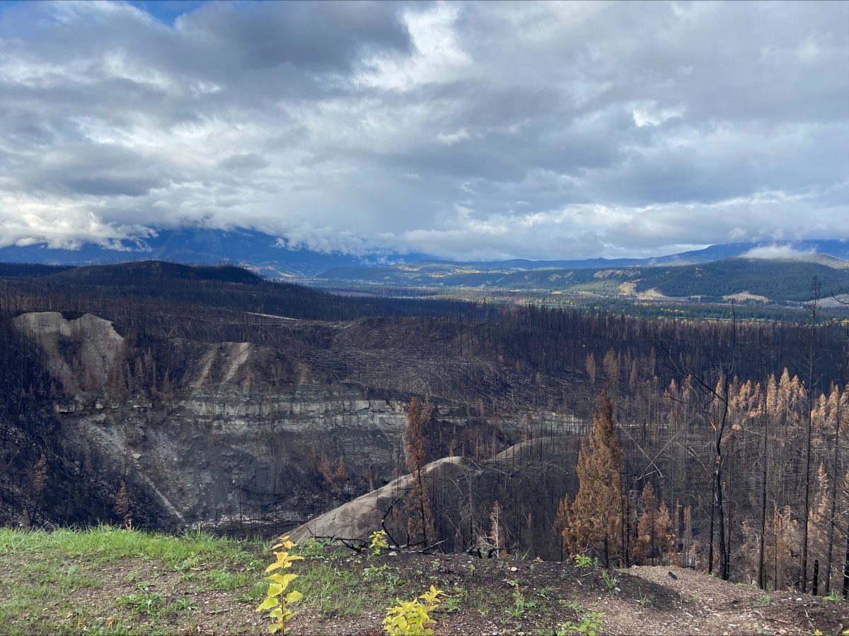 Wildfire-ravaged areas near Malgine Road in Jasper National Park on Thursday, Oct. 10, 2024.