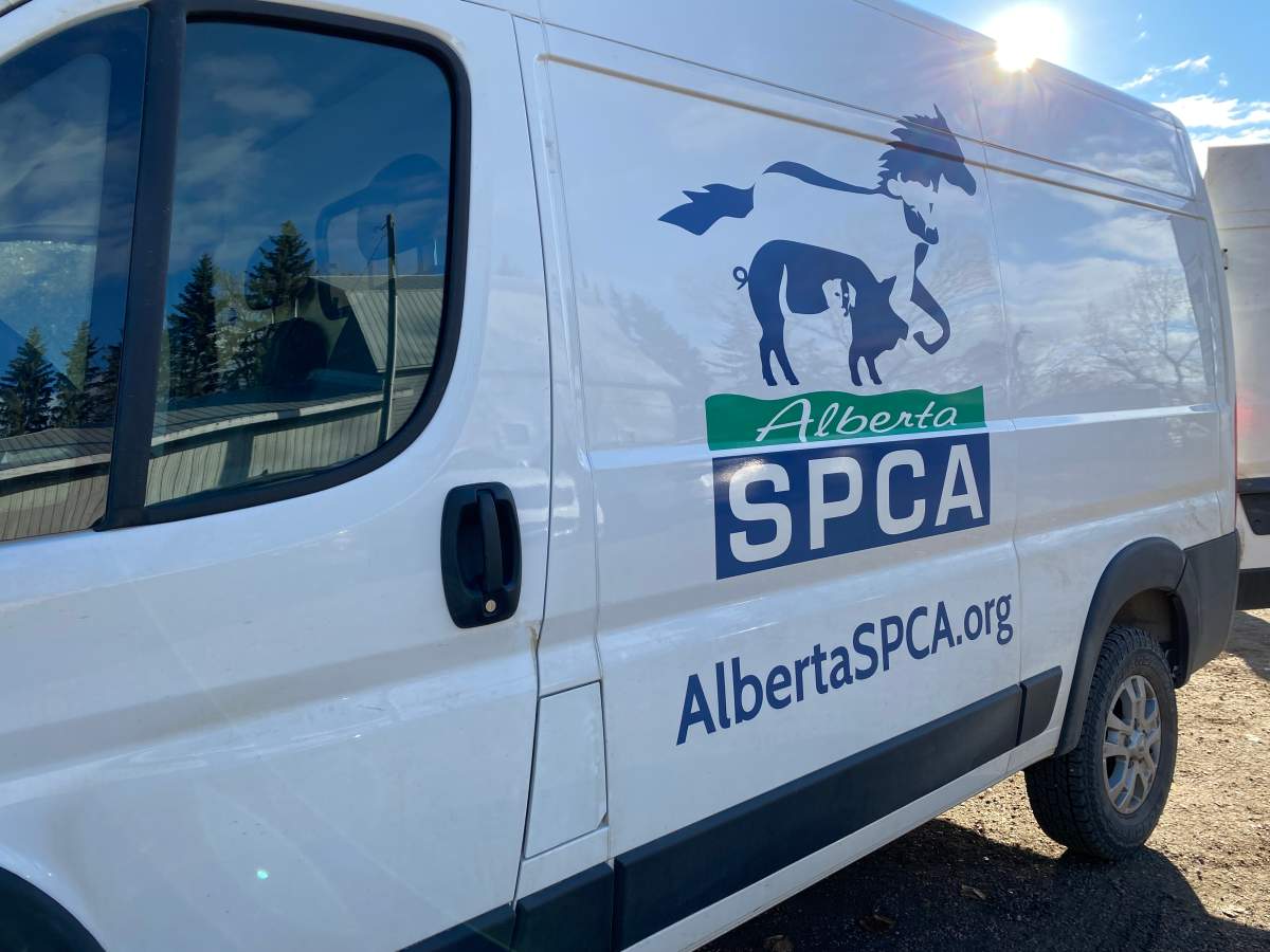 The Alberta SPCA saysAn Alberta animal welfare agency says a dog that tested positive for highly pathogenic avian influenza has died.