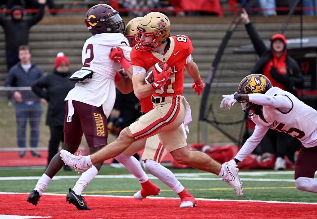 Laval University Rouge et Or Olivier Cool leaps into the end zone to score a touchdown as Concordia Stingers Ahmadou Boubacar, left, and Mendel Joseph fail to stop him in a semifinal game, Saturday, Nov. 2, 2024 in Quebec City. THE CANADIAN PRESS/Jacques Boissinot.