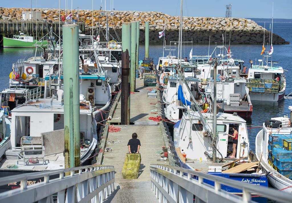 FILE - Fishing boats prepare for the start of the lobster fishery in Saulnierville, N.S. on Monday, Aug. 16, 2021.