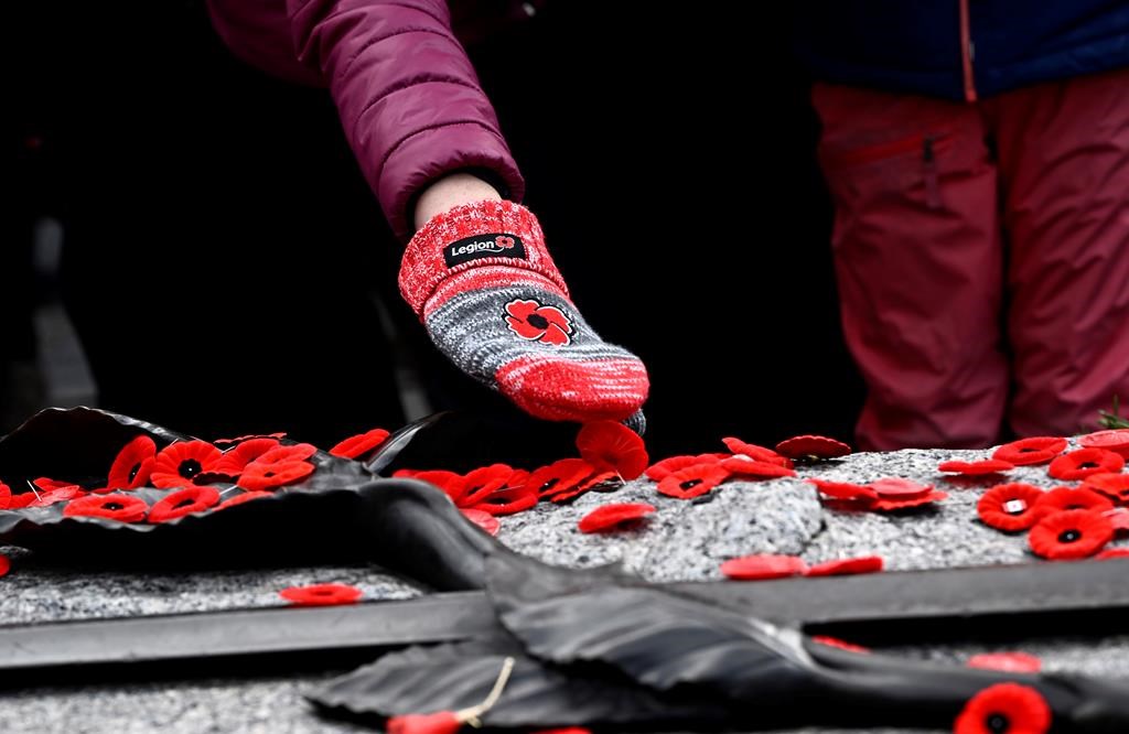 ‘Lest we forget’: Winnipeg marks Remembrance Day