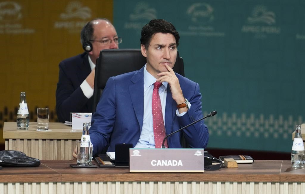 Mexico a solid partner, but concerns about Chinese investment linger: Trudeau