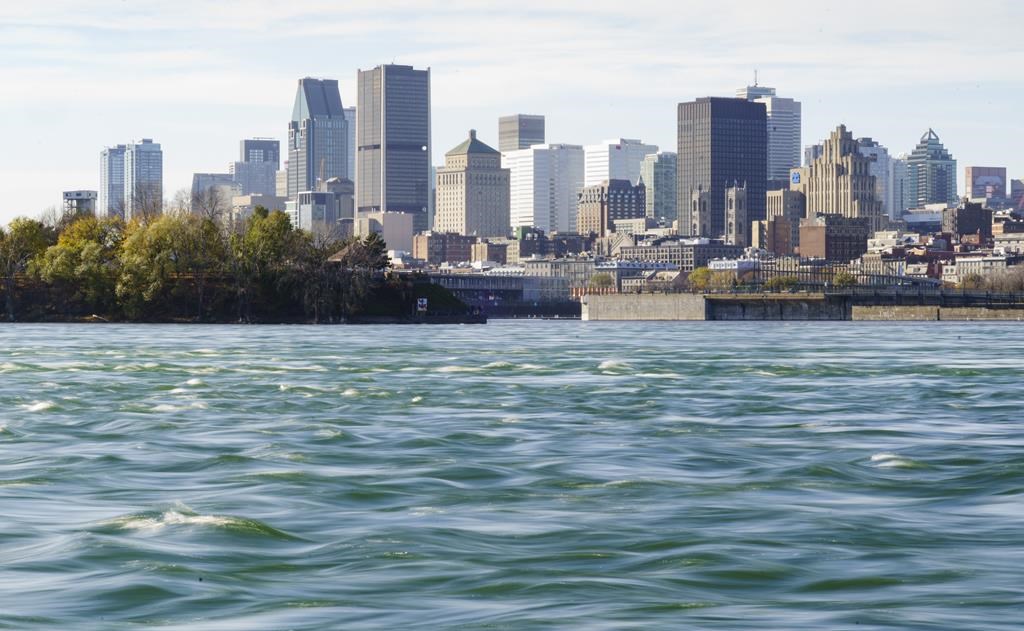 Petition by RFK Jr. fan leads to water fluoridation vote by Montreal council