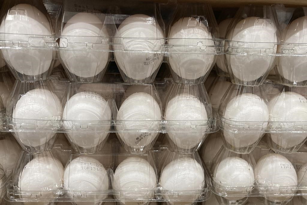 Recall issued for batches of eggs from 6 Canadian brands