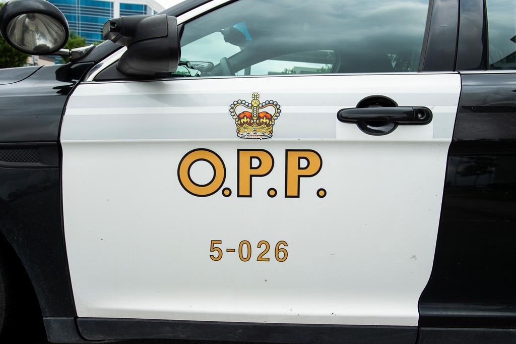 2 people seriously injured after horse-drawn carriage crashes in Oxford County: OPP