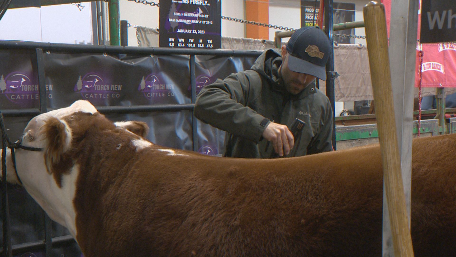 Canadian Western Agribition returns to Regina