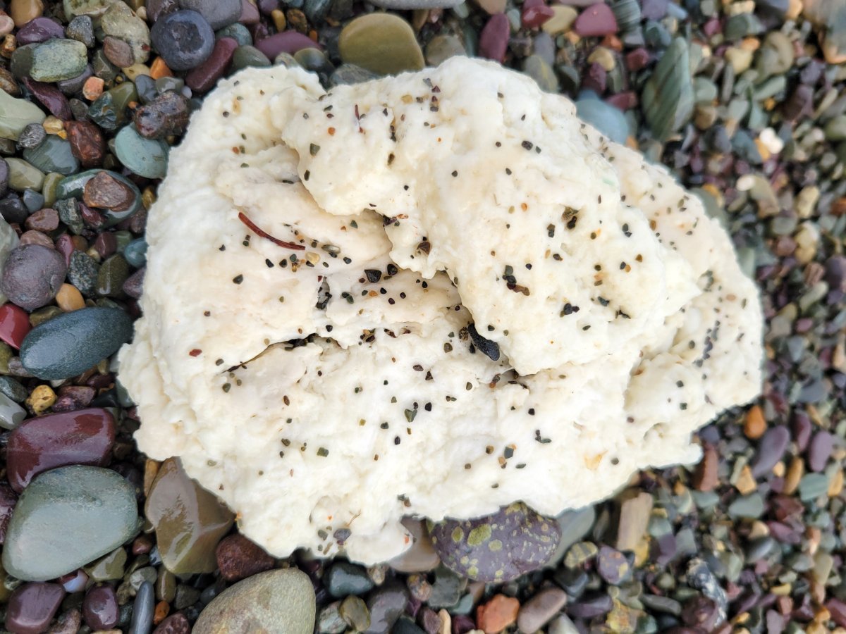 Images of strange white glob appearing on the province's beaches in Newfoundland are shown in this handout photo provided by the Environment and Climate Change Canada. A Memorial University scientist says the mysterious white blobs washing up on Newfoundland beaches are actually gobs of plastic — and they need to be cleaned up.THE CANADIAN PRESS/HO-Environment and Climate Change Canada *MANDATORY CREDIT*