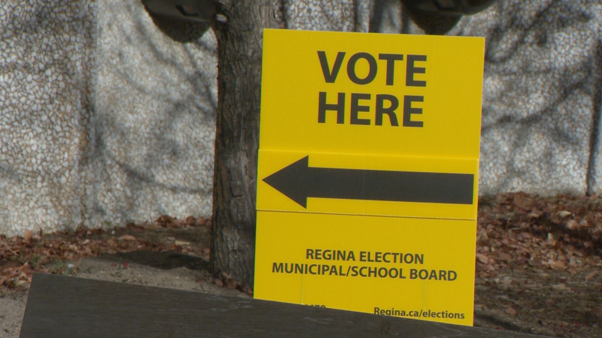 Civic Election 2024: Regina mayoral candidates wind down campaigns